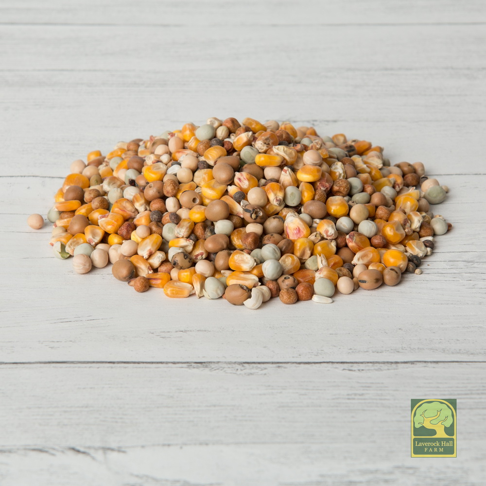 Laverock Bird food - Harrier-1.jpg_2 Laverock Bird food - Harrier-1